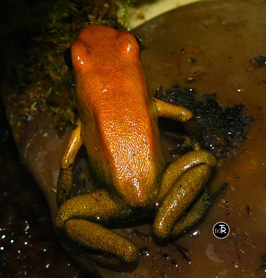 P1040401 copie.jpg